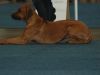 dsc_8662.jpg