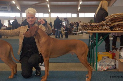 Adhiambos wunderschöner Sohn Zungwini Nordstern, Anwärter Deutscher Champion