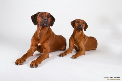 Bravo Topsecret Adhiambo und Halvenboom Habibuna Senta